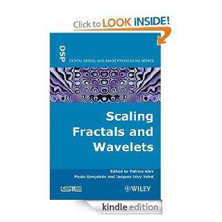 Scaling, Fractals and Wavelets (ISTE) eBook Patrice Abry, Paolo Goncalves, Jacques Levy Vehel Kindle Store