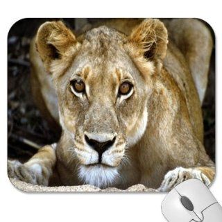Mousepad   9.25" x 7.75" Designer Mouse Pads   Wildlife/Animals (MPWL 156)  