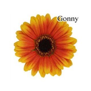 Gonny Mini Gerbera Daisies   140 Stems  Fresh Cut Format Daisy Flowers  