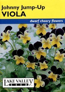 Lake Valley 161 Viola Johnny Jump Up Heirloom Seed Packet  Flowering Plants  Patio, Lawn & Garden