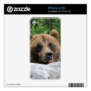Alaskan Grizzly Bear, The Kodiak iPhone 4 Skin
