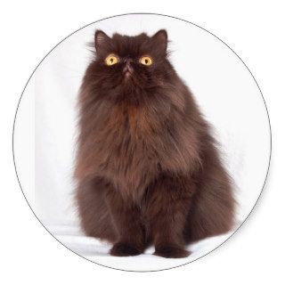 Big Fat Black Cat Round Stickers