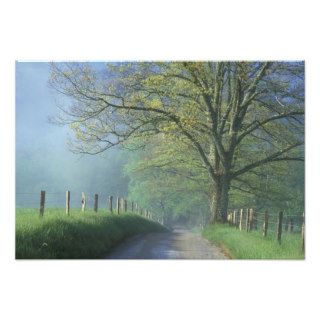 NA, USA, Tennessee, Cades Cove, Great Smoky Photographic Print