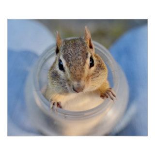 Cute Chipmunk Sitting in a Food Container Print