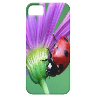 Ladybug And Purple Flower iPhone 5 Cover