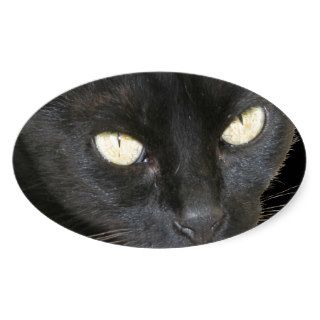 Black Cat Isolated on Black Background Oval Stickers