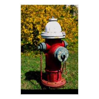 Nashville fire hydrant poster