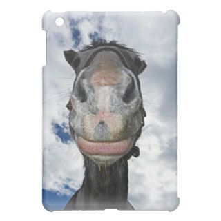Horse Nose Knows Funny Smiling Horse iPad Mini Cover