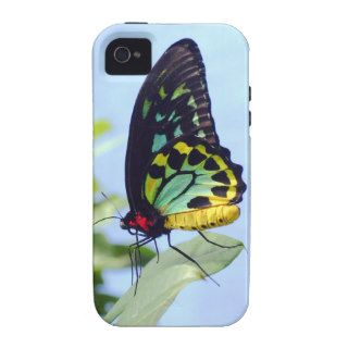 Beautiful Dreamy Butterfly iPhone 4/4S Cases