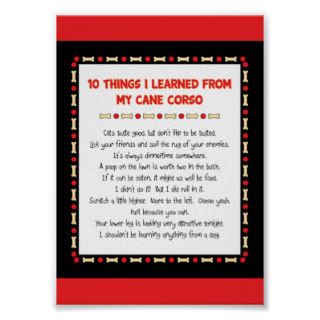 Funny Things I Learned My Cane Corso Posters