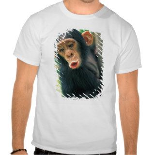 Young Chimpanzee (Pan troglodytes) Shirts