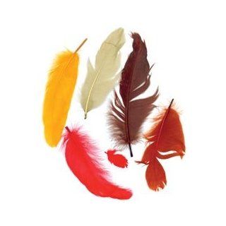 Bulk Buy Zucker Feather Satinettes Feathers .25 Ounces Fall Mix B206 FALL (6 Pack)