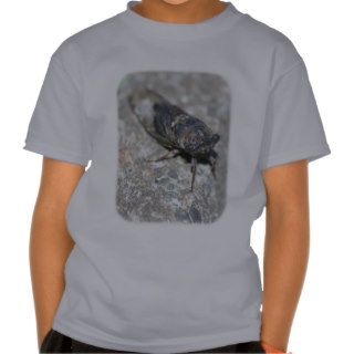 Cicada Ugly Bug Insect Kids T Shirt