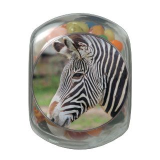 Grevy's Zebra Glass Candy Jars
