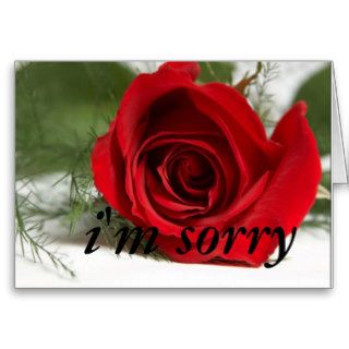 "I'm Sorry" Card Design1