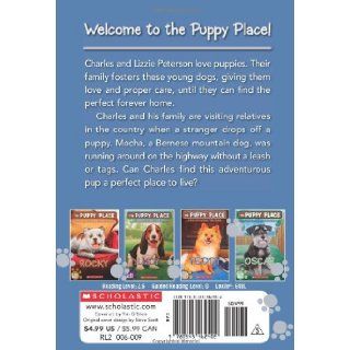 The Puppy Place #29 Mocha Ellen Miles 9780545462402 Books