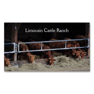 Cattle feeding business card