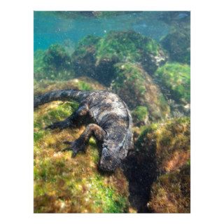 Marine iguana feeding underwater Galapagos Islands Letterhead Design