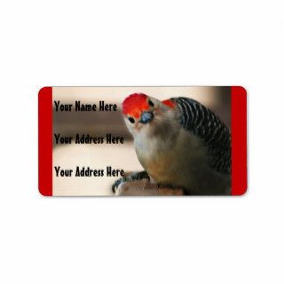 Red Bellied Woodpecker Personalized Address Label