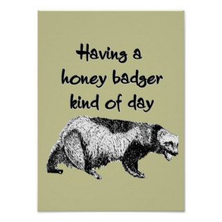Having a honey badger kind of day poster