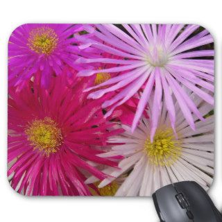 Delicate Pink Purple Lampranthis Flowers Mousepad