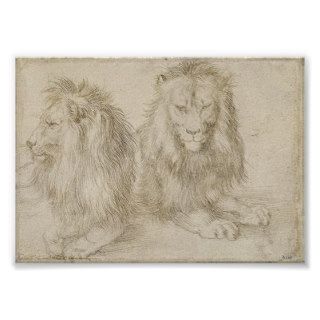 Two Seated Lions by Albrecht Durer Poster