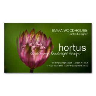 Hortus   Great Masterwort Business Card