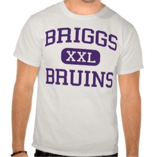 Briggs   BRUINS   High School   Columbus Ohio Tees