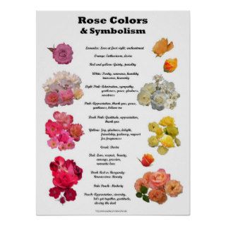 Rose Colors and Symbolism Poster