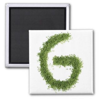 Letter 'G' in cress on white background, Magnet
