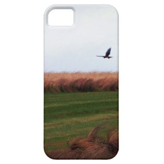 Above The Hope iPhone 5 Cover