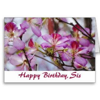 Happy Birthday Sis, pretty Orchid tree blooms Greeting Cards