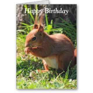 Squirrel red beautiful photo happy birthday card