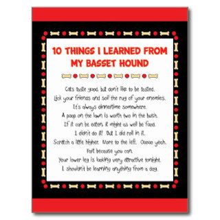 Funny Things I Learned My Basset Hound Postcard
