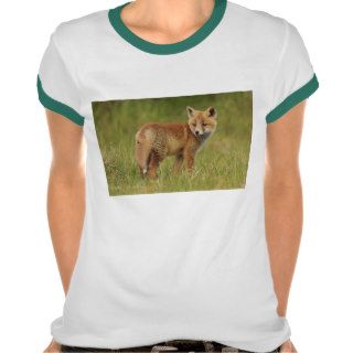 Fox Cub Shirt