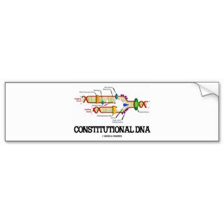 Constitutional DNA (DNA Replication) Bumper Sticker