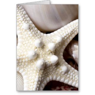 Sea Shell & Starfish Background   Beach Shells Cards