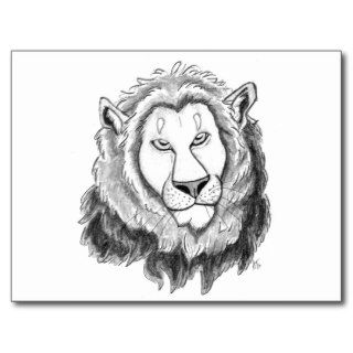 Lion Pencil Sketch Art Postcard