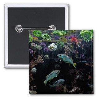 Fish and Underwater Aquatic Life Photo Pinback Buttons