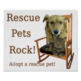 Rescue Pets Rock 3 Poster