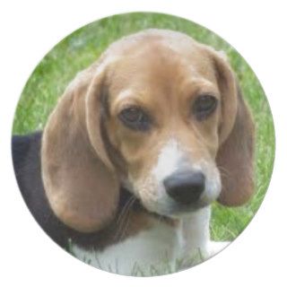 Beagle Puppy Beagles Cute Dog Products Plate