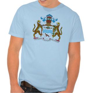 Guyana Coat of Arms / Hanes Nano T Shirt