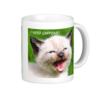 I NEED CAFFINE Funny Siamese Scary Kitten Mugs