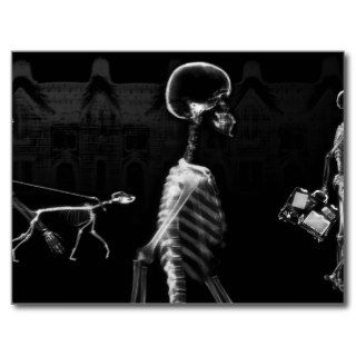 X Ray Skeletons Midnight Stroll Black White Postcards