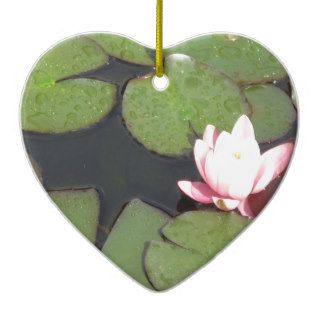 Light Pink Water Lily floating in a  green pond Ornaments