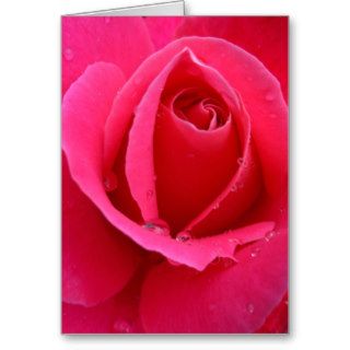 Rose Cards Pink Flowers Custom Greeting Card
