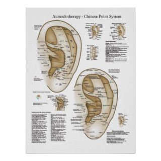 Ear Acupuncture Auriculotherapy Points Poster