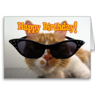 Happy Birthday   Cat Wearing Sunglasses Greeting Cards