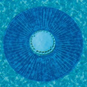 SmartPool Smart Ring Drain Cover for In Ground Pool Cleaners NE290