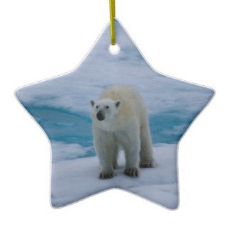 Polar Bear on pack ice Christmas Tree Ornament